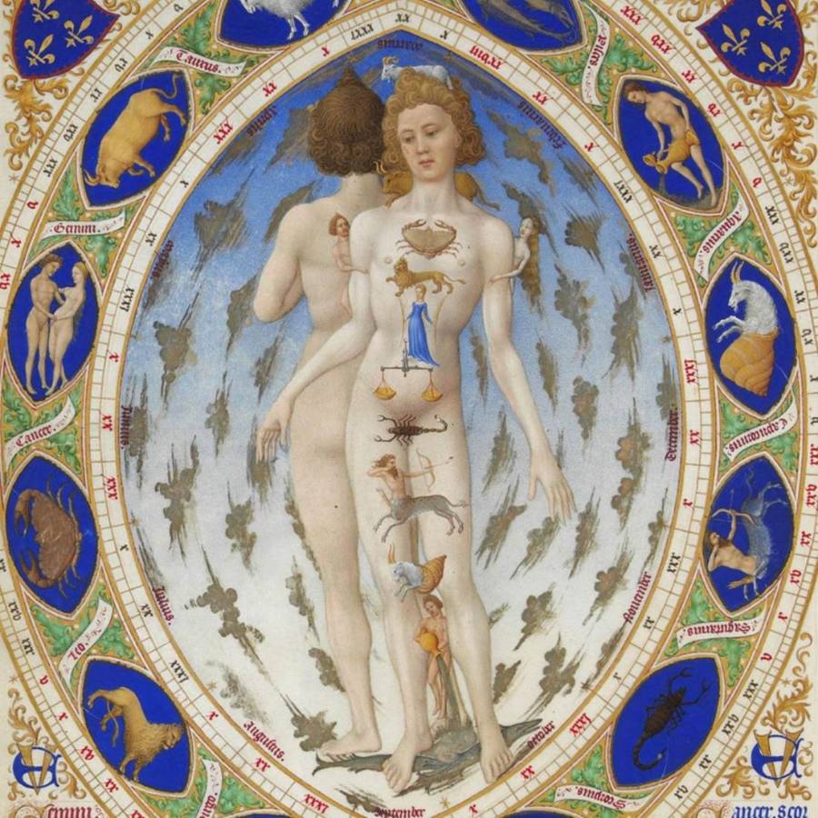 A medieval zodiac man illumination mapping the signs onto the body